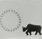 Nashorn